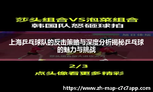 上海乒乓球队的反击策略与深度分析揭秘乒乓球的魅力与挑战
